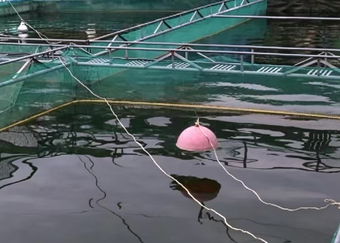 aquaculture